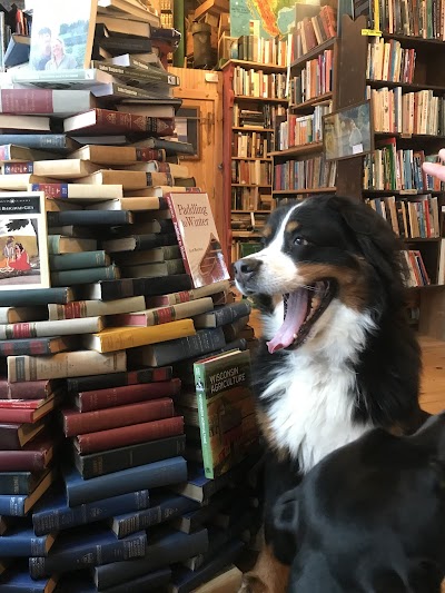 Honest Dog Books