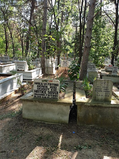 Babaeski Cemetery