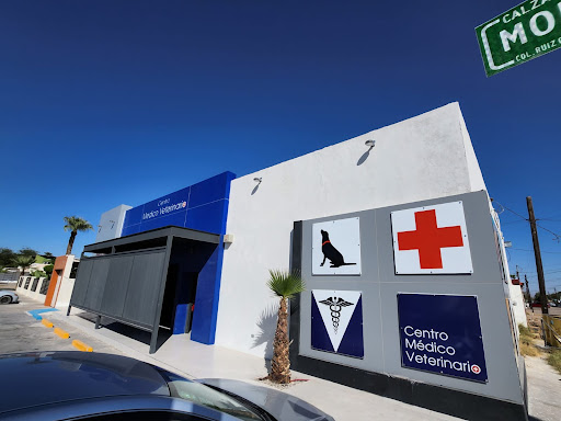 Centro Médico Veterinario - Suc Monterrey