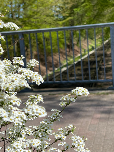 Großendorf - Visual