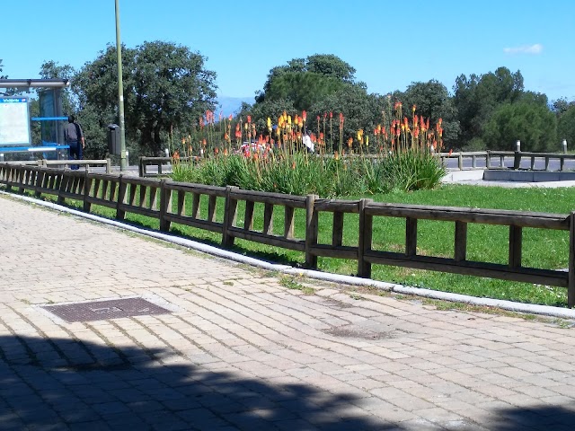 Casa de Campo