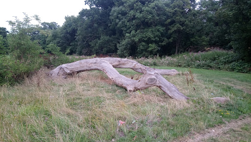 Berkeley Meadows - Visual