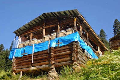 Photos of Organik Kestane Balı - Bor&ccedil;ka - Enerjibal