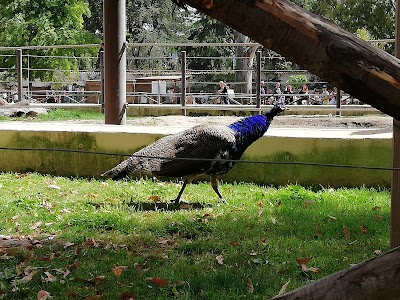 Naples Zoo