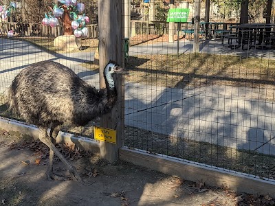 Hattiesburg Zoo