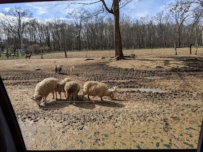 Pettit Creek Farms