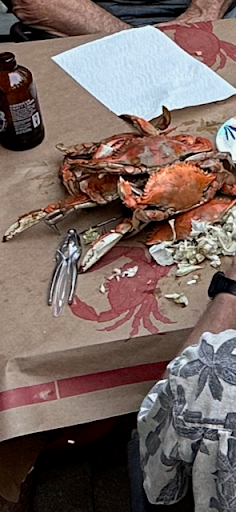 Boonedocks Seafood - Visual