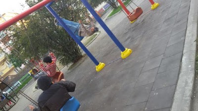 Photos of Zonguldak Science High School