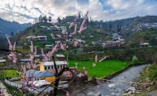 Shangla Hotel mingora