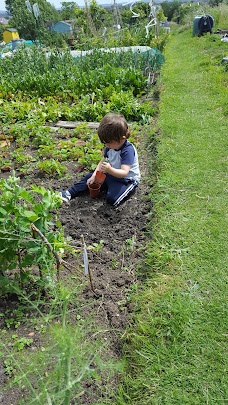 Horfield & District Allotments Association bristol