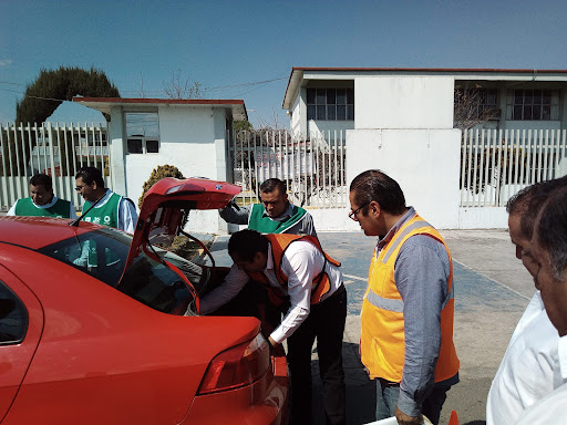Consultoria Academy. Team Building. Empresariales. Manejo de Emociones