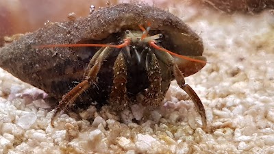 Photos of Acuario Escondido