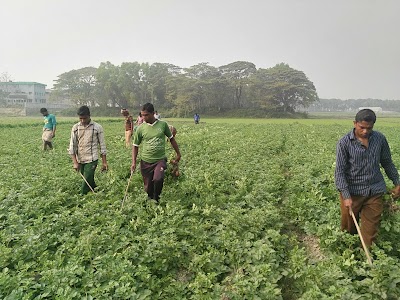 Photos of Homna Cold Storage