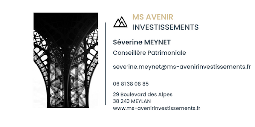 MS AVENIR INVESTISSEMENTS