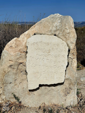 Israel In A Nutshell by null