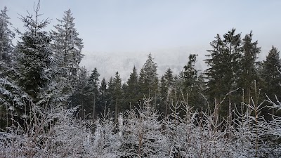 Photos of Waldhaus am See