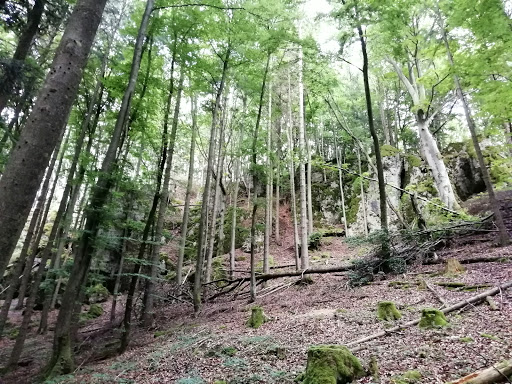 Graischenstein - Visual