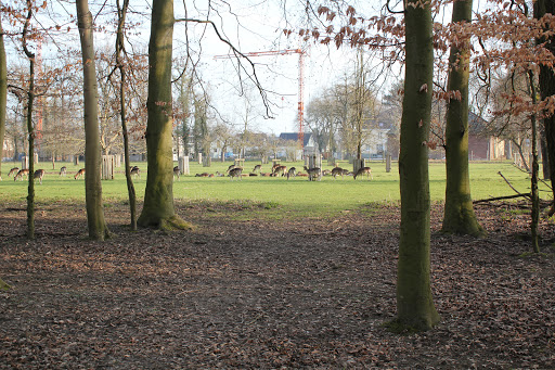 Freiherr - von Wintzingerrode Park - Thumbnail
