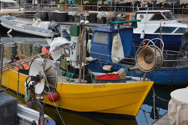Port Authority of Savona