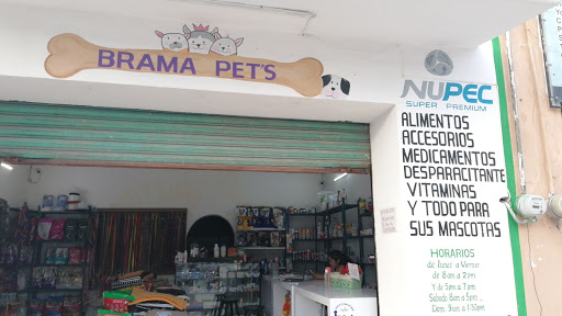 Bramapets - Visual
