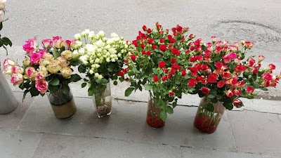 Photos of Doğan &Ccedil;i&ccedil;ek&ccedil;ilik