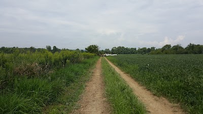 Photos of Pat & Son Services Center