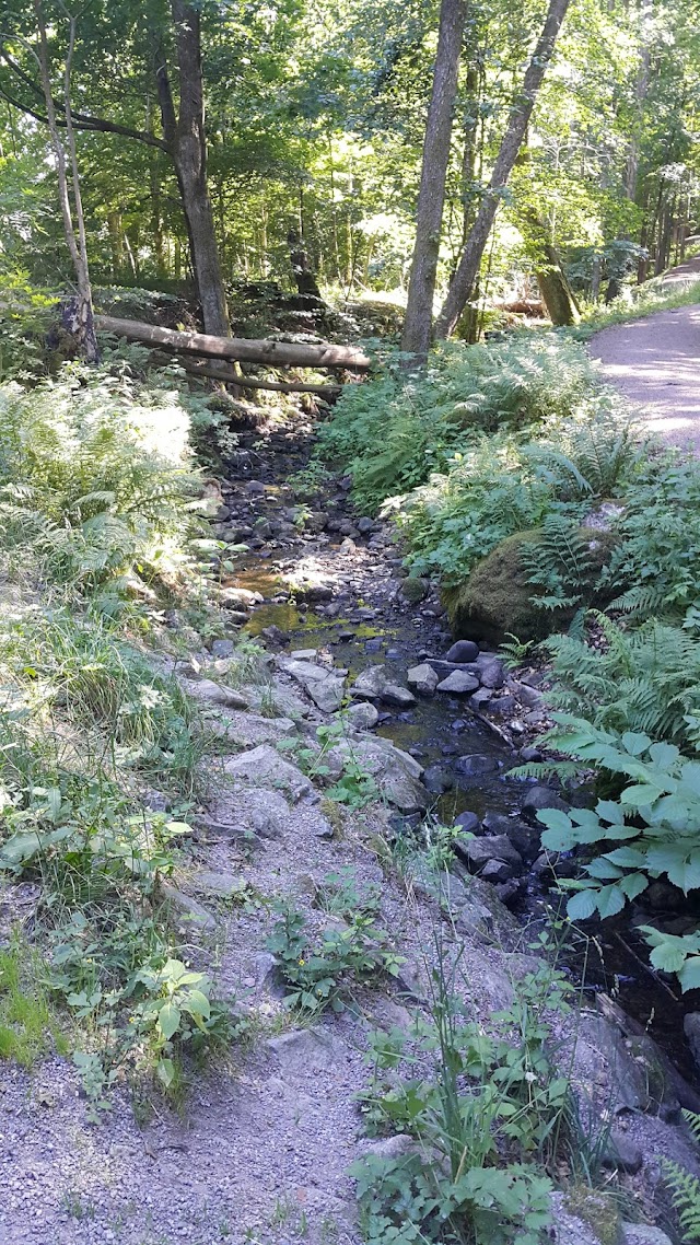 Stora Delsjön