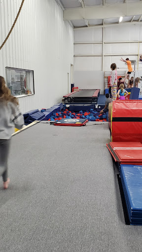 Level Up Gymnastics - Thumbnail