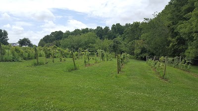 Photos of Windy Knoll Winery