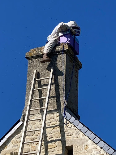 Intervention Guêpes Frelons