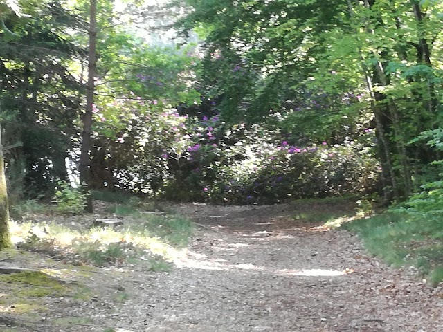 Golf de Kerbernez