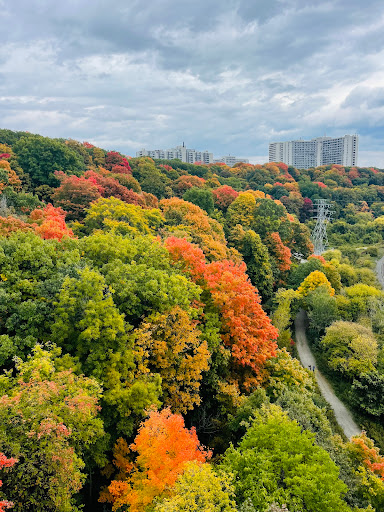 Crothers Woods - Thumbnail