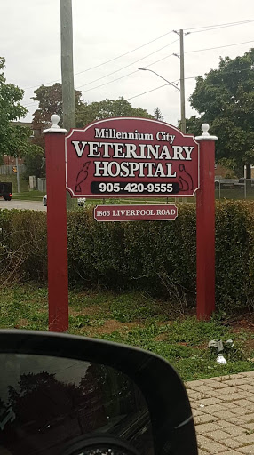 Millennium City Veterinary Hospital - Thumbnail