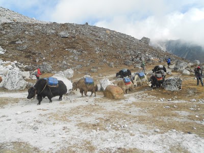 Photos of Hotel Grand Himalayan