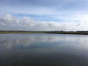 Photo n°21 de SARL JANNOT LES CHAMPS MARINS à Saint-Molf (Ferme d'aquaculture)