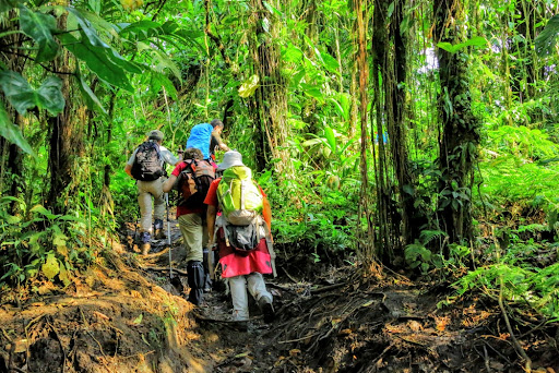 viajesdetrail.com - Thumbnail