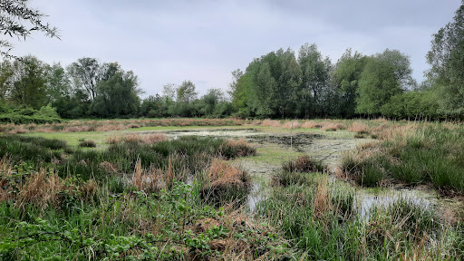 Barnimer Dörferweg - Visual