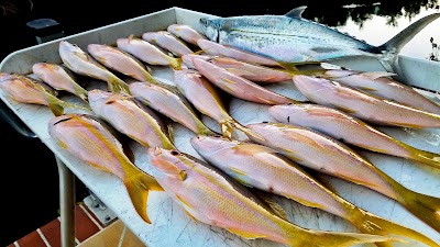 Photos of Cudjoe Gardens Marina