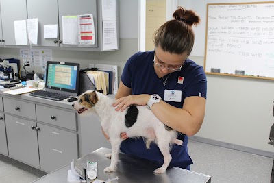 Photos of Liberty Veterinary Medical Center