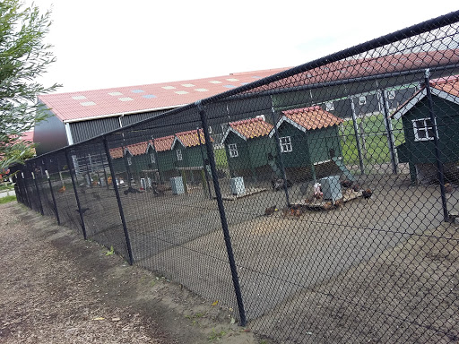 haan tankstation Ouddorp - Thumbnail