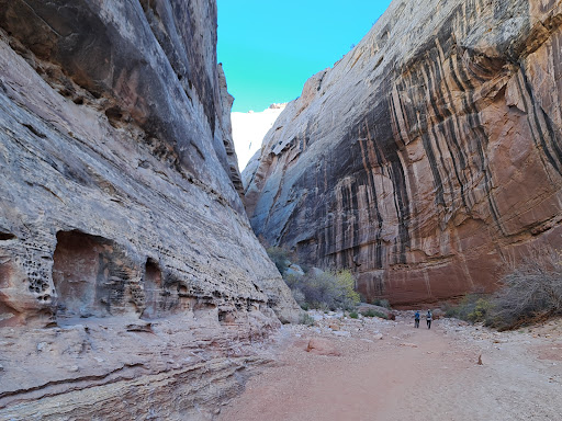 Grand Wash Trailhead