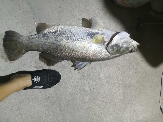 Pangkor Guesthouse SPK 邦咯小筑 by null