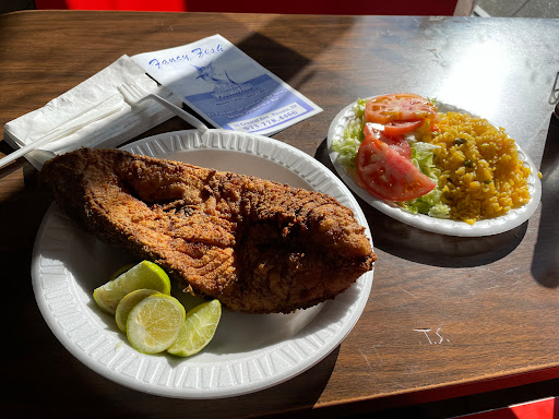 Fancy Fish - Visual