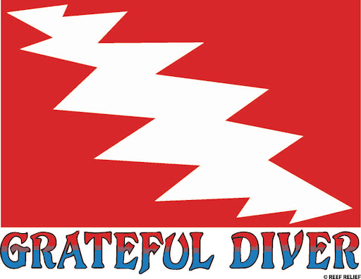 Grateful Diver - Visual