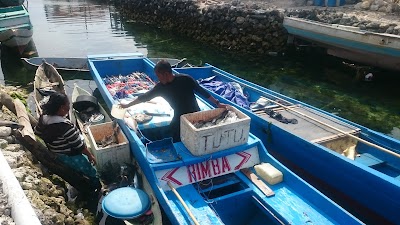 Photos of Museum Bajo