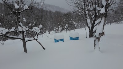 Photos of Museum "Totyu"