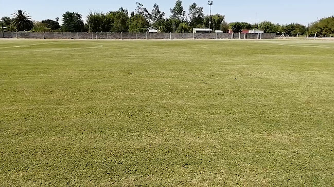 Parque Municipal Viera Y Benavidez