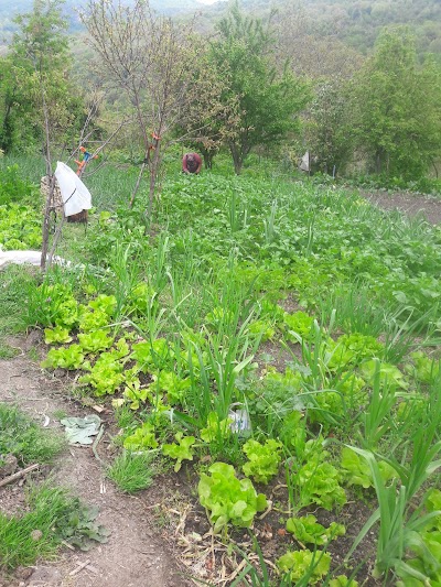 Ahatlar Nature Park