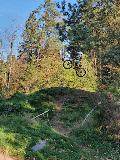 Bikepark Trippstadt - Thumbnail