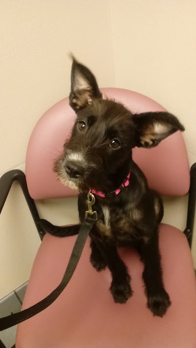 Photos of Animal Health Center